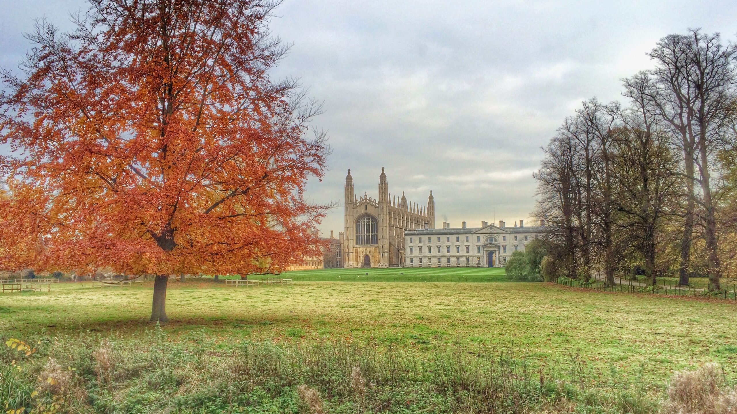 King's College back